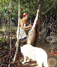 The Hagia precticing Natura