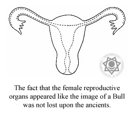 The fact that the female reproductive organs appeared like the image of a Bull was not lost upon the ancients.