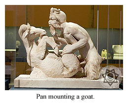Pan mounting a goat.